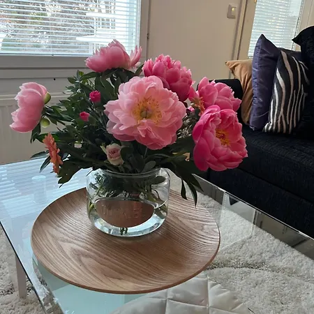 Kivakoti With Sauna Apartment *