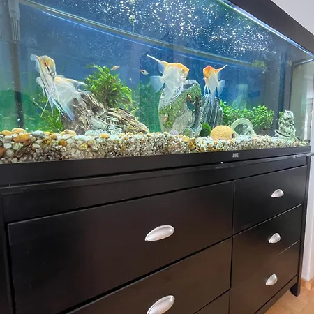 Kivakoti With Sauna Rovaniemi